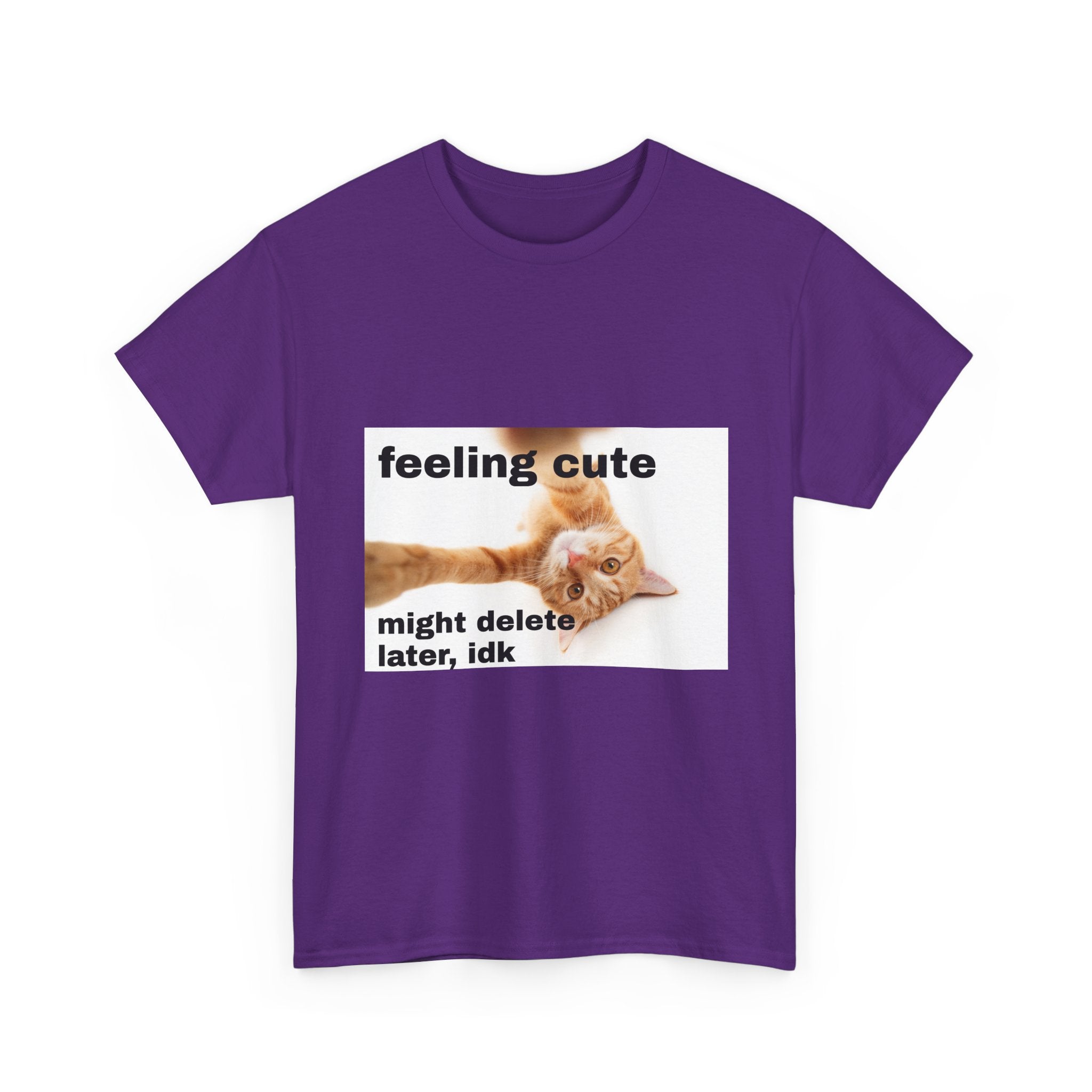 feeling cute tee